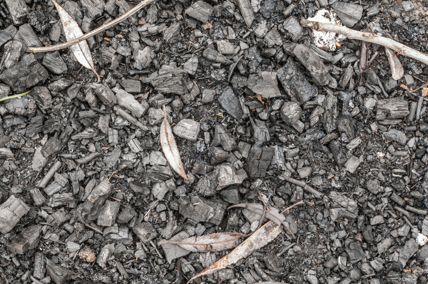 how-to-make-biochar