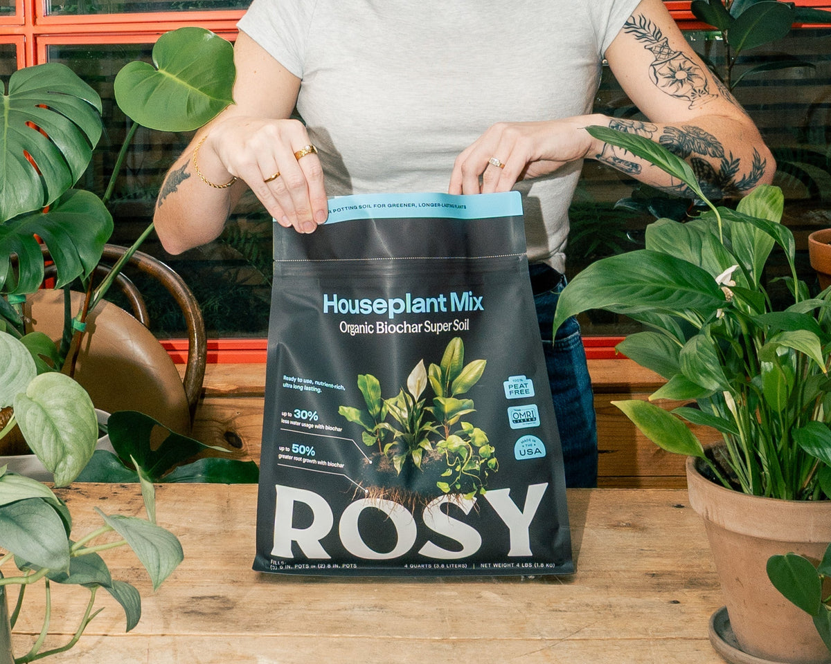 Woman opened a bag of Rosy Houseplant Soil