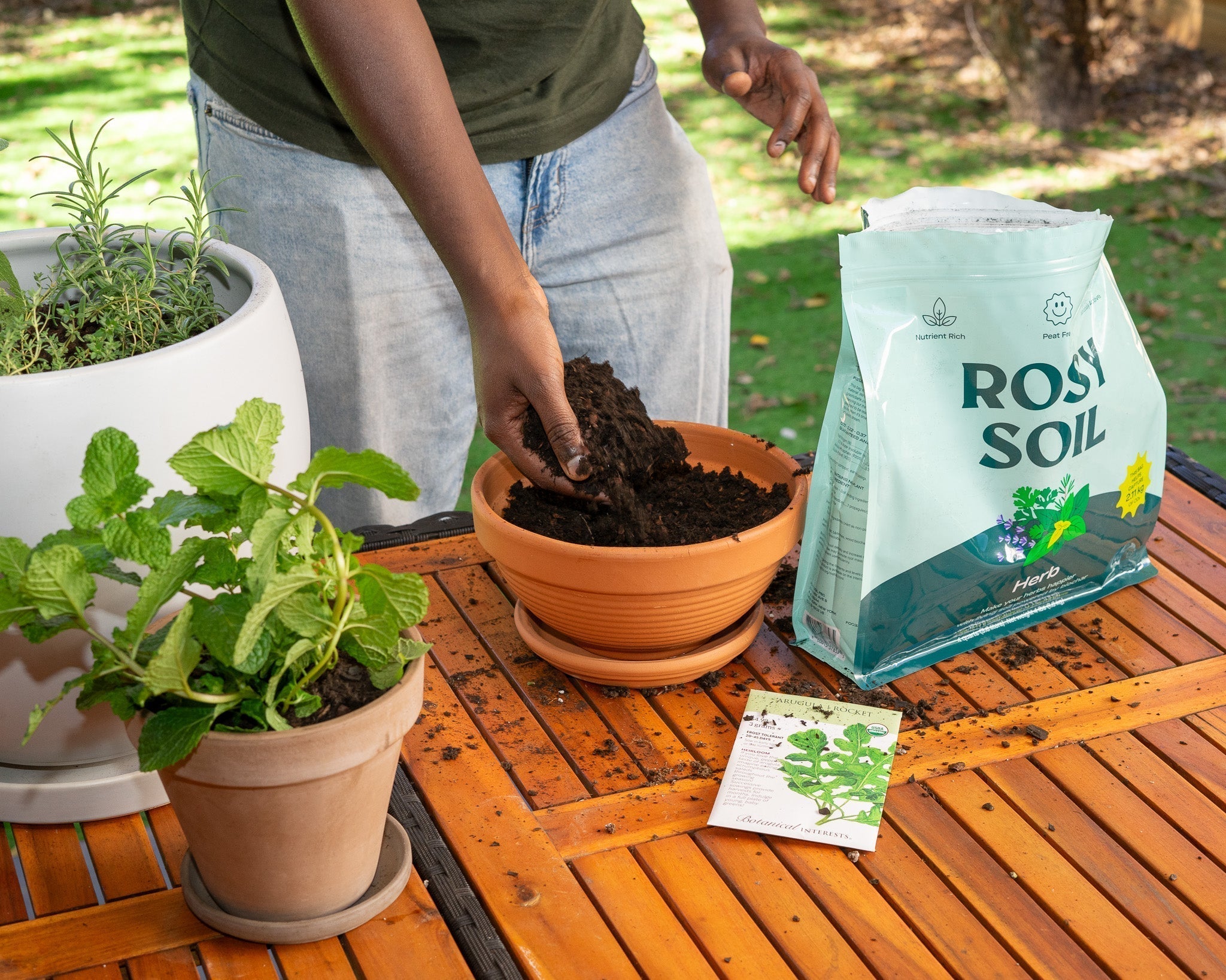 Planting arugula seeds in a terracotta pot with Rosy Soil's Herb Mix