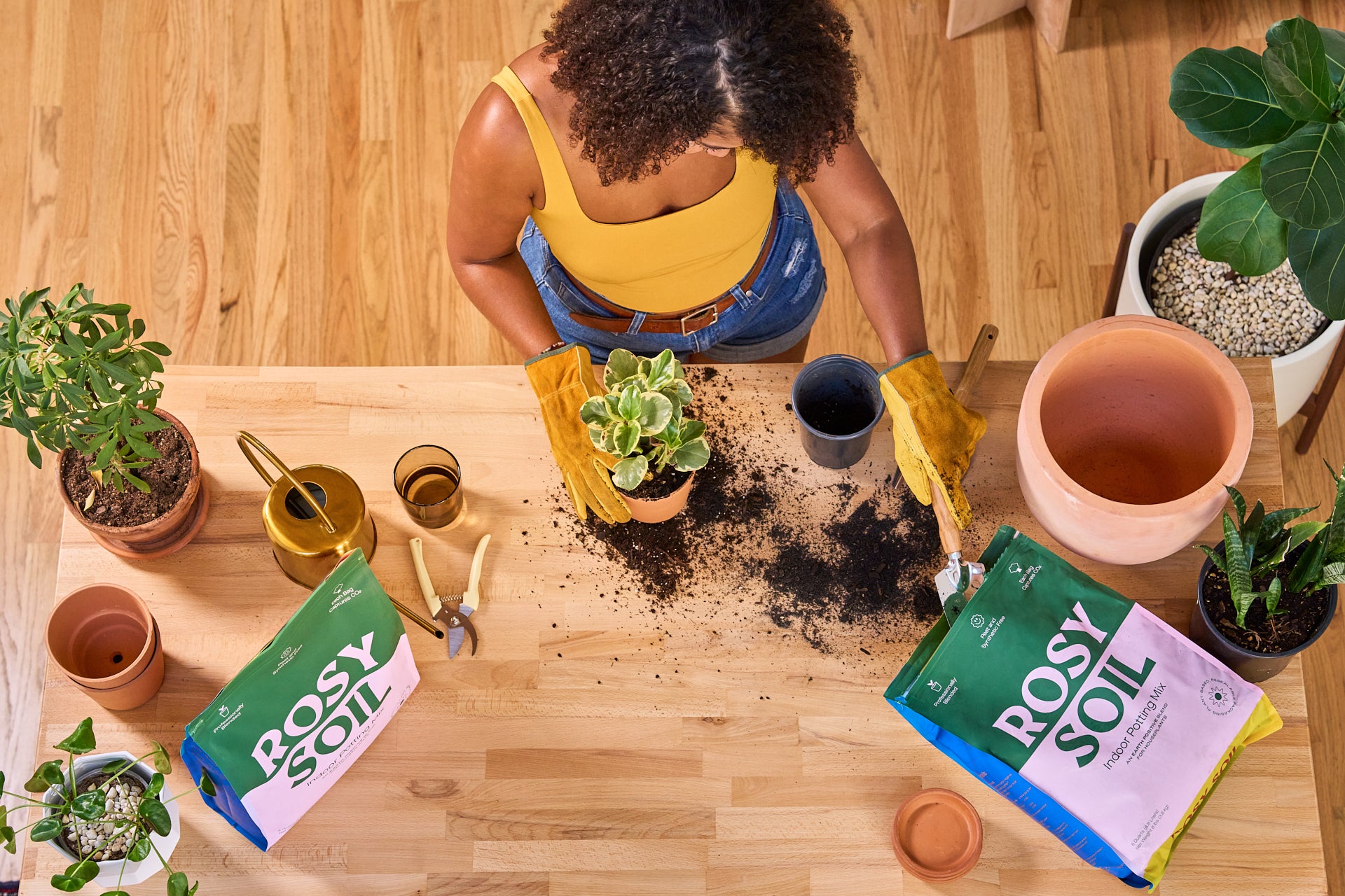 adding-rosy-biochar-soil-plants