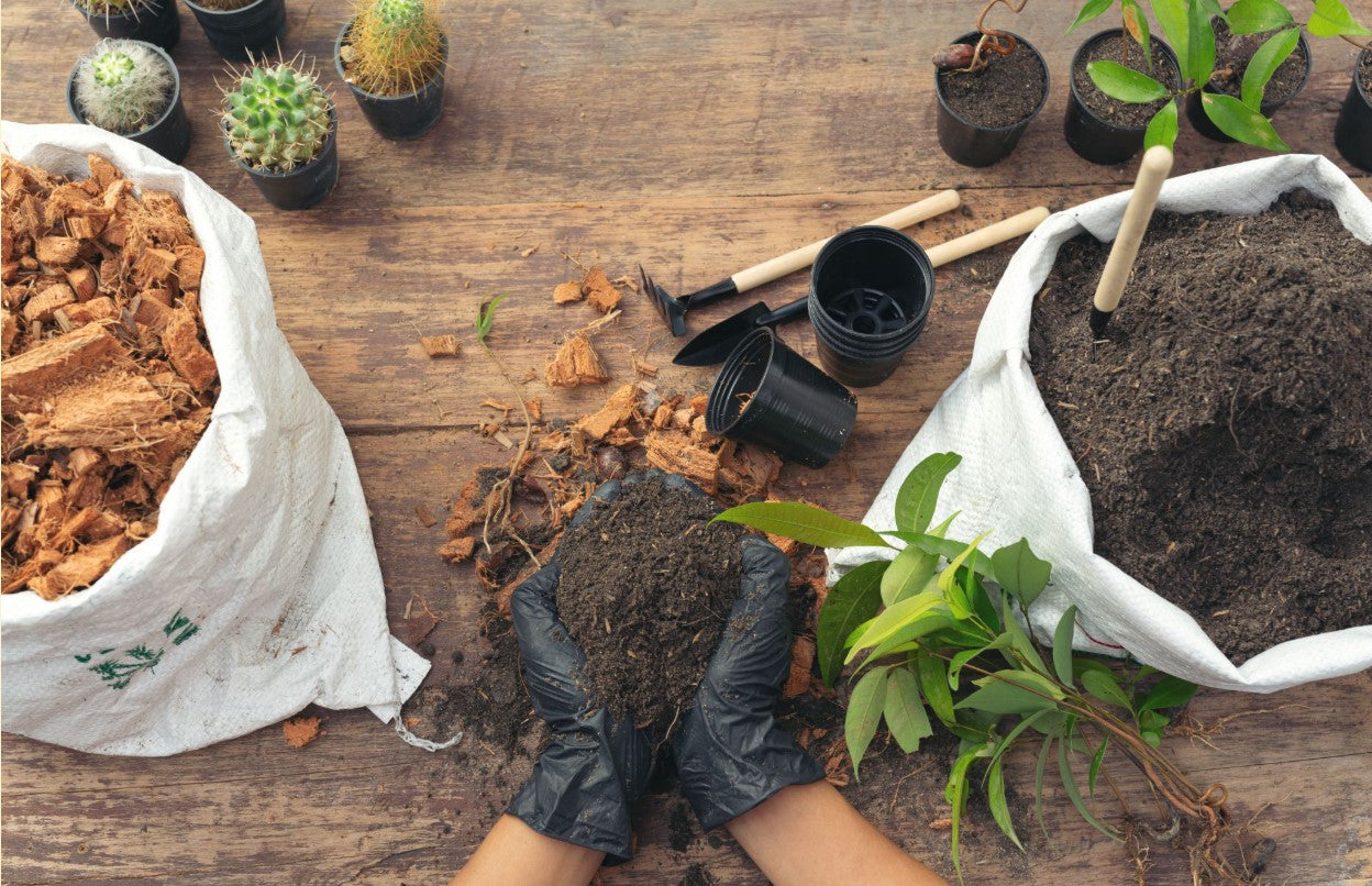 Peat-Free Repotting Soil