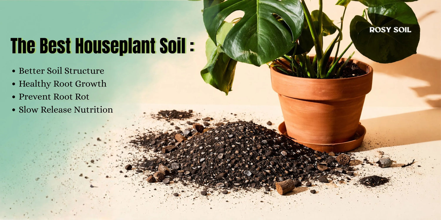 The Best Houseplant Soil: What to Look For (and What to Avoid)