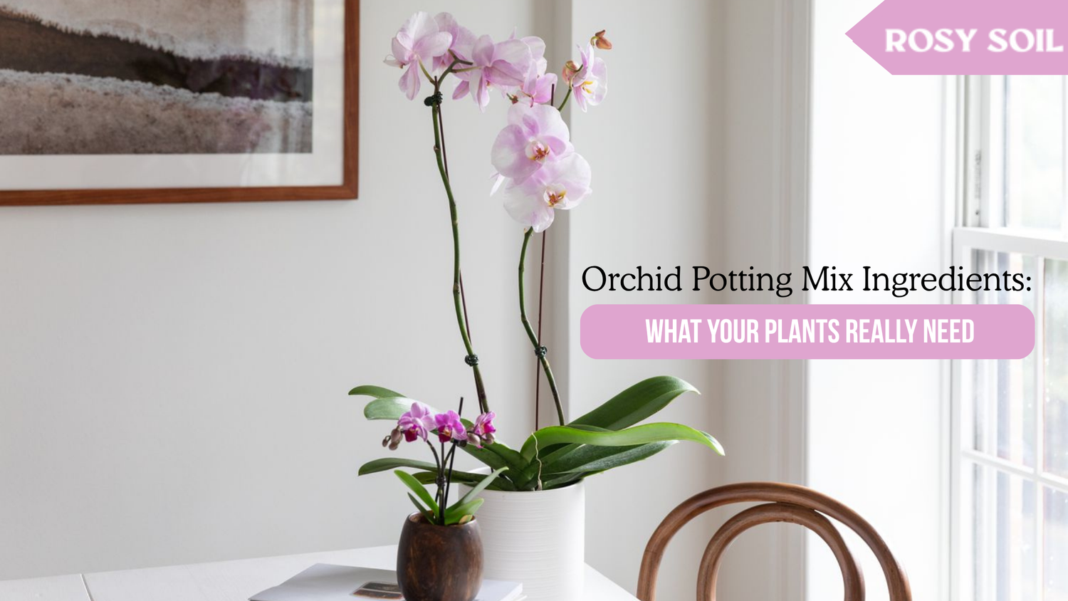 Orchid Soil Potting Mix