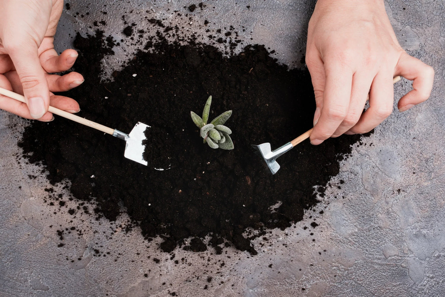 Biochar