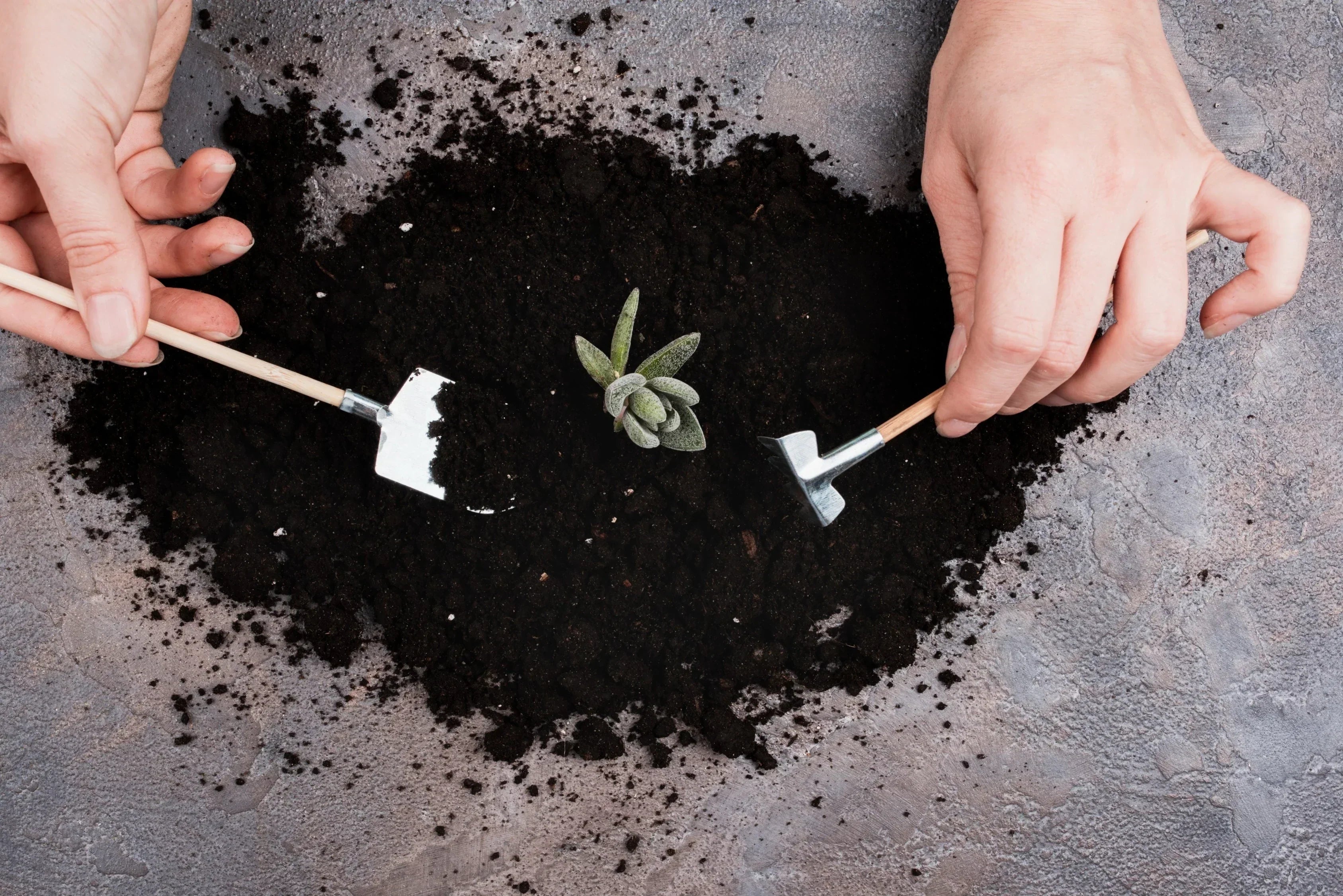 Biochar