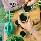 Seedling Soil