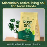Aroid Soil