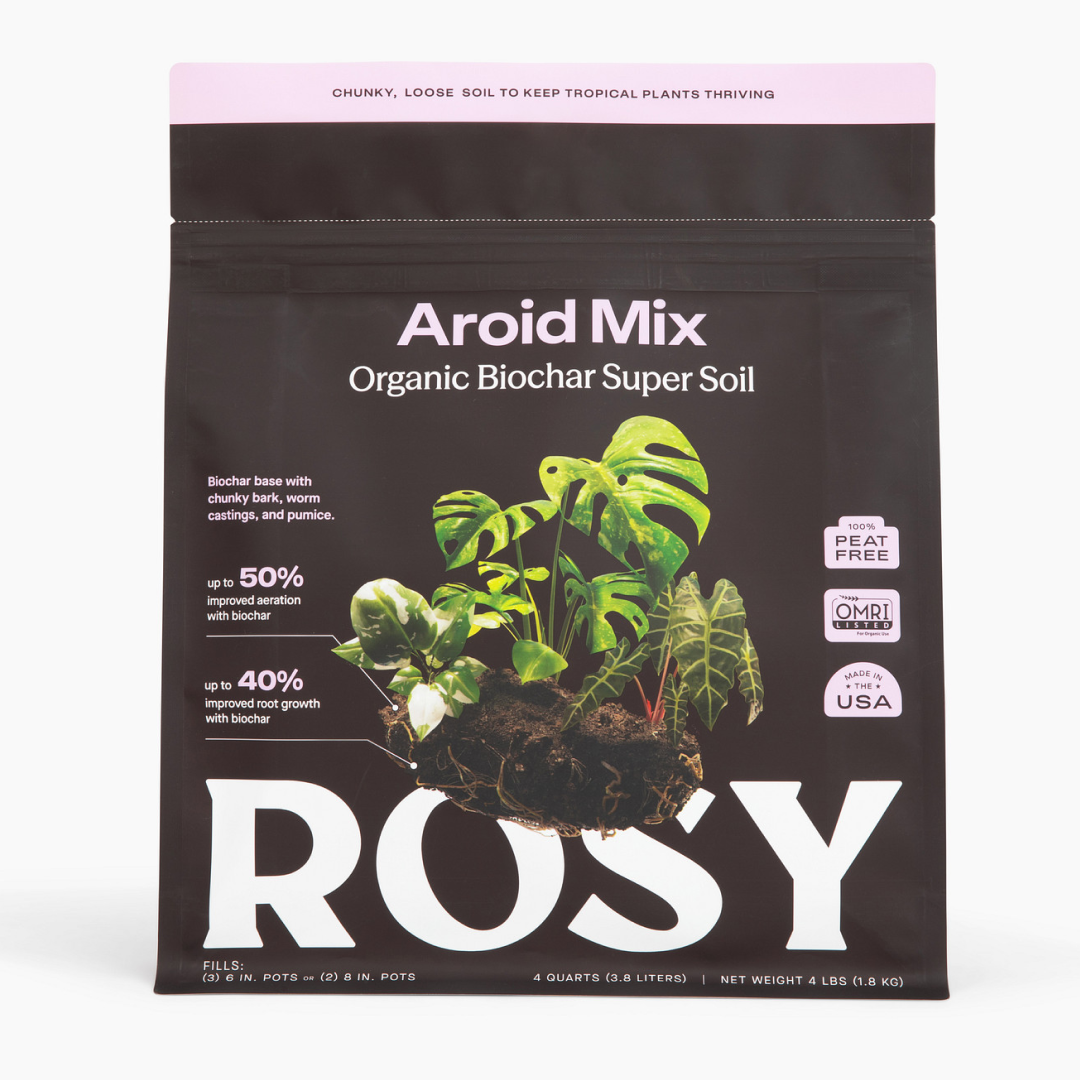aroid potting mix Aroid Soil