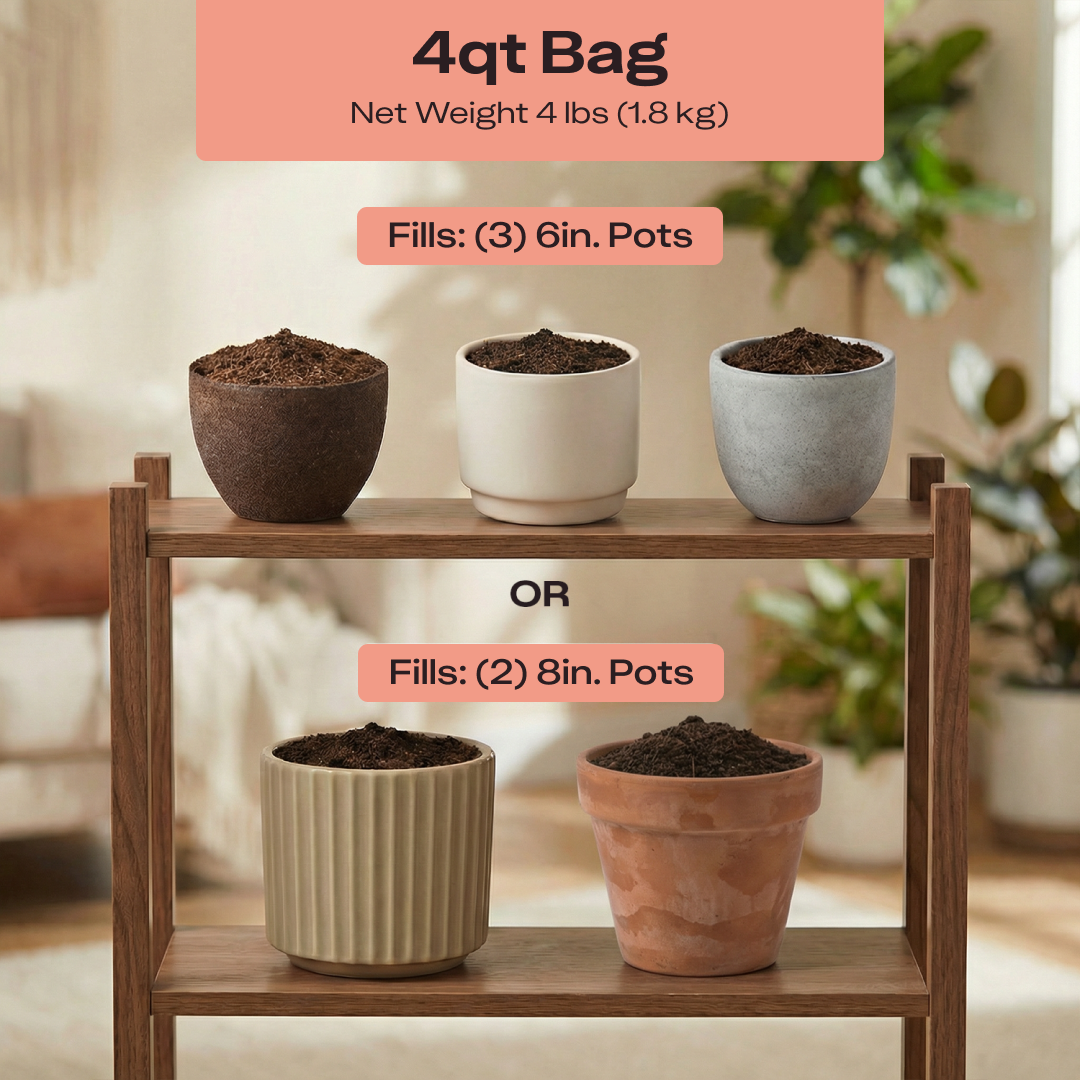 Plant Parent Bundle