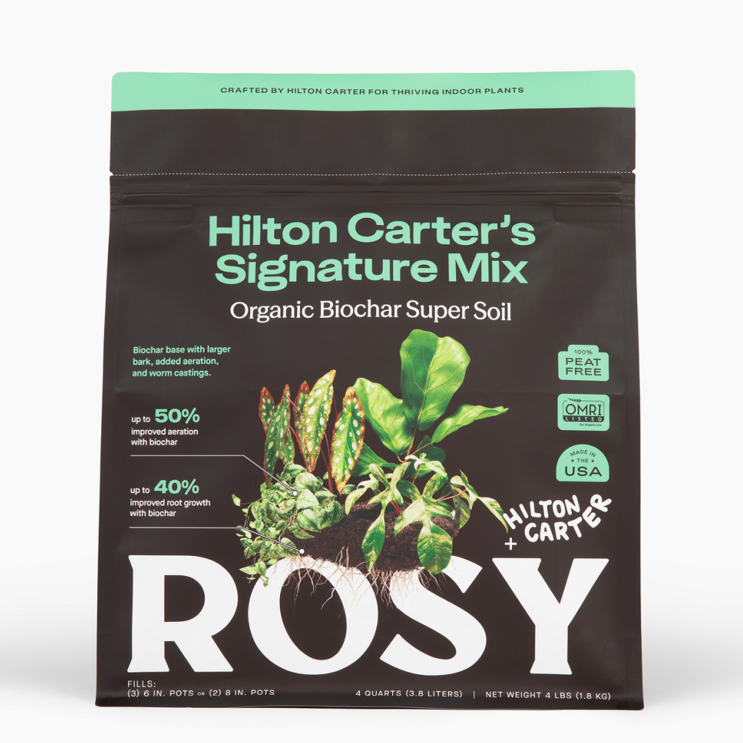 Hilton Carter's Signature Mix