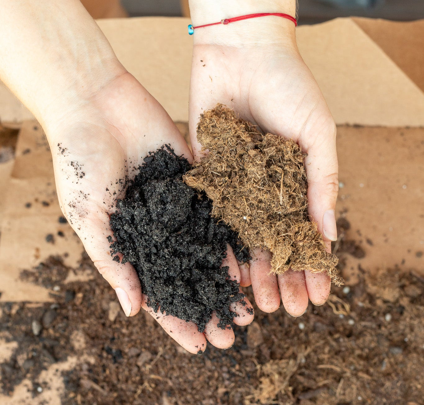Rosy Soil vs a peat based soil