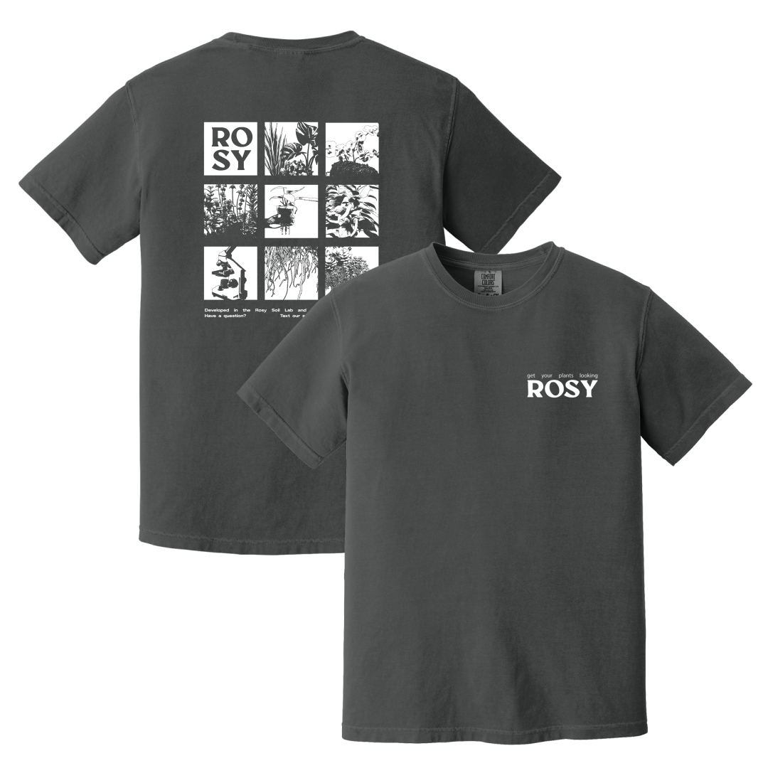 Rosy Soil Gray Tee