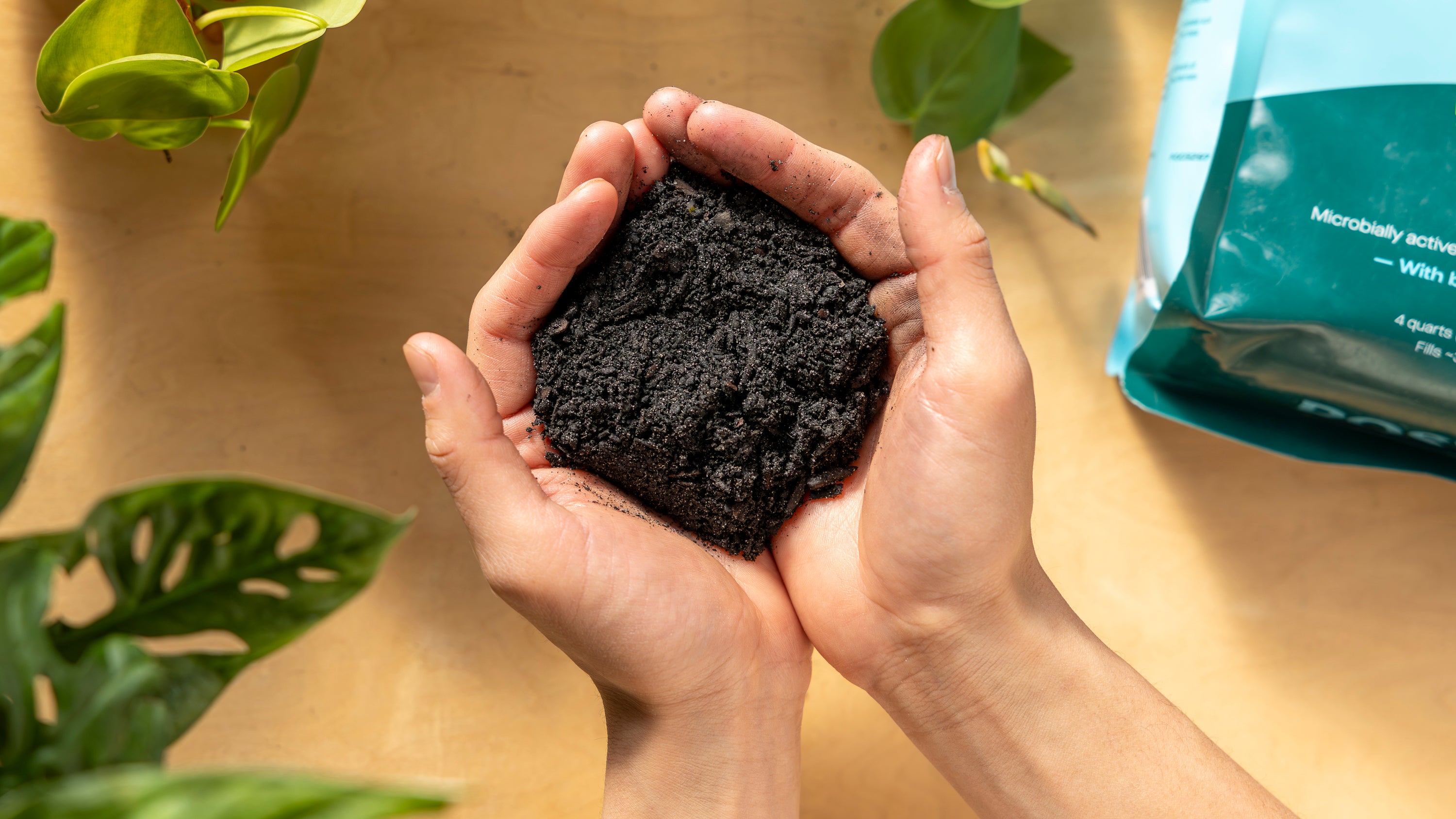 2024 Life Cycle Assessment: Calculating the Emissions of our Products