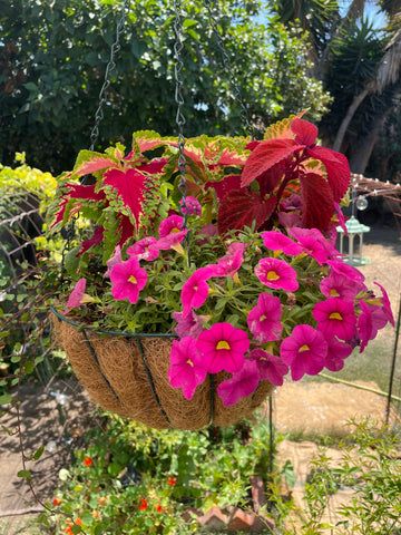 indoor-vs-outoor-potting-soil