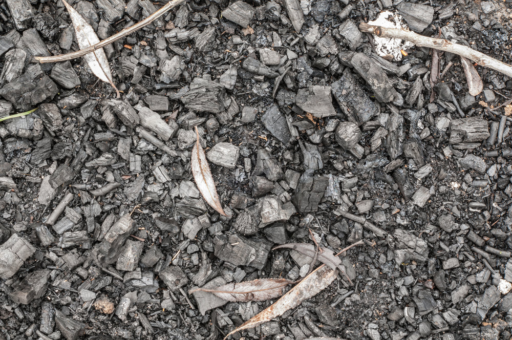 How to Make Biochar (3 DIY Methods + An Easier Alternative) – Rosy Soil