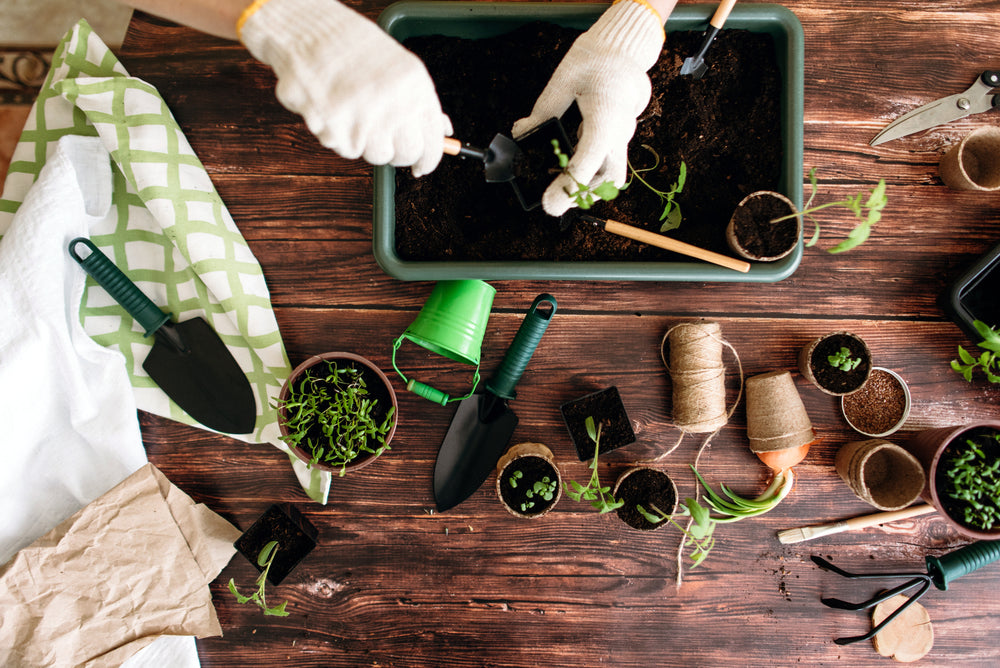 How to Use Biochar for a Thriving Garden (Steps, FAQs) – Rosy Soil