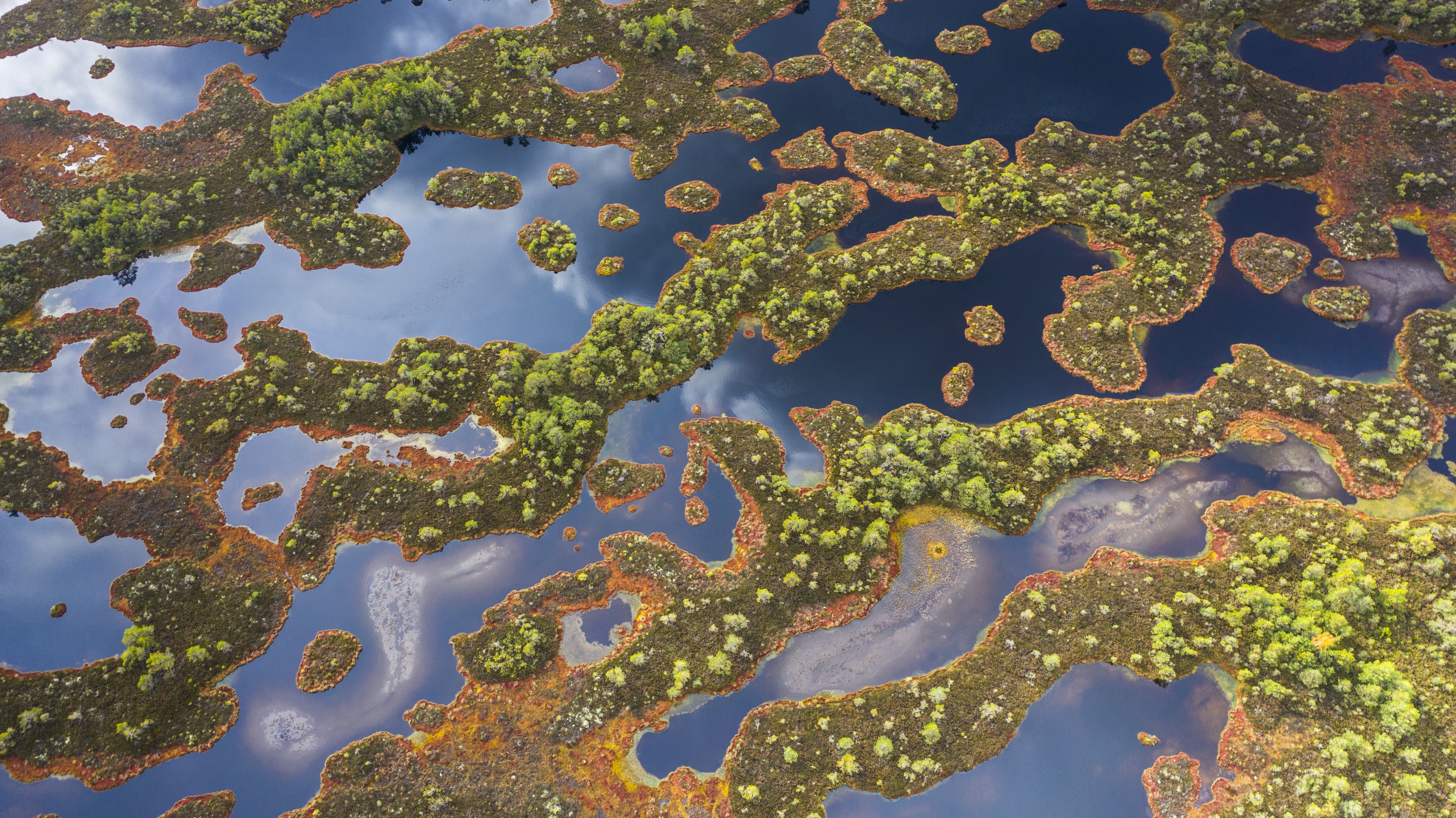 Why We’ll Never Use Peat Moss in Our Soil and What We Use Instead