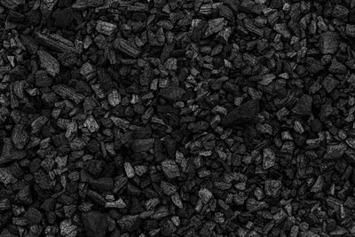 Biochar vs Charcoal: 6 Key Differences You Should Know About