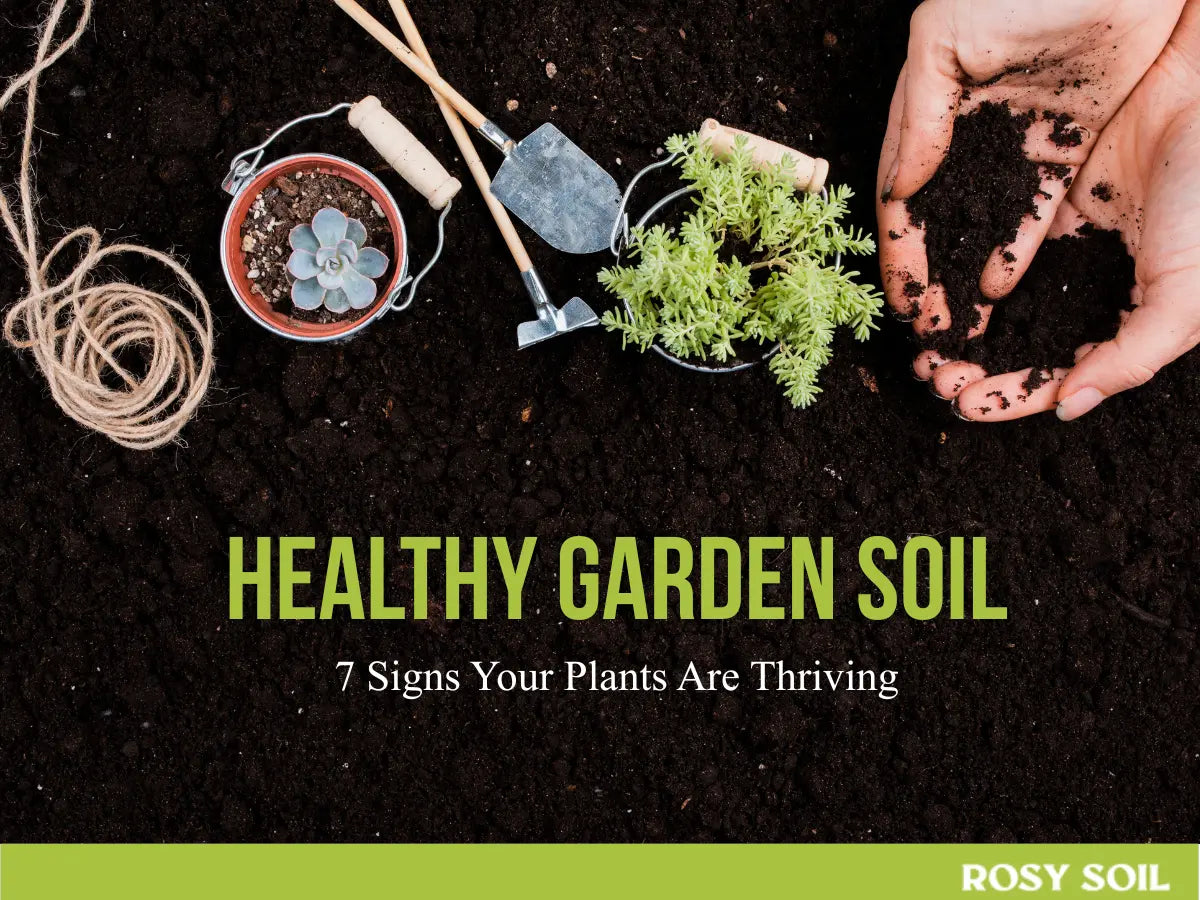 Garden Soil