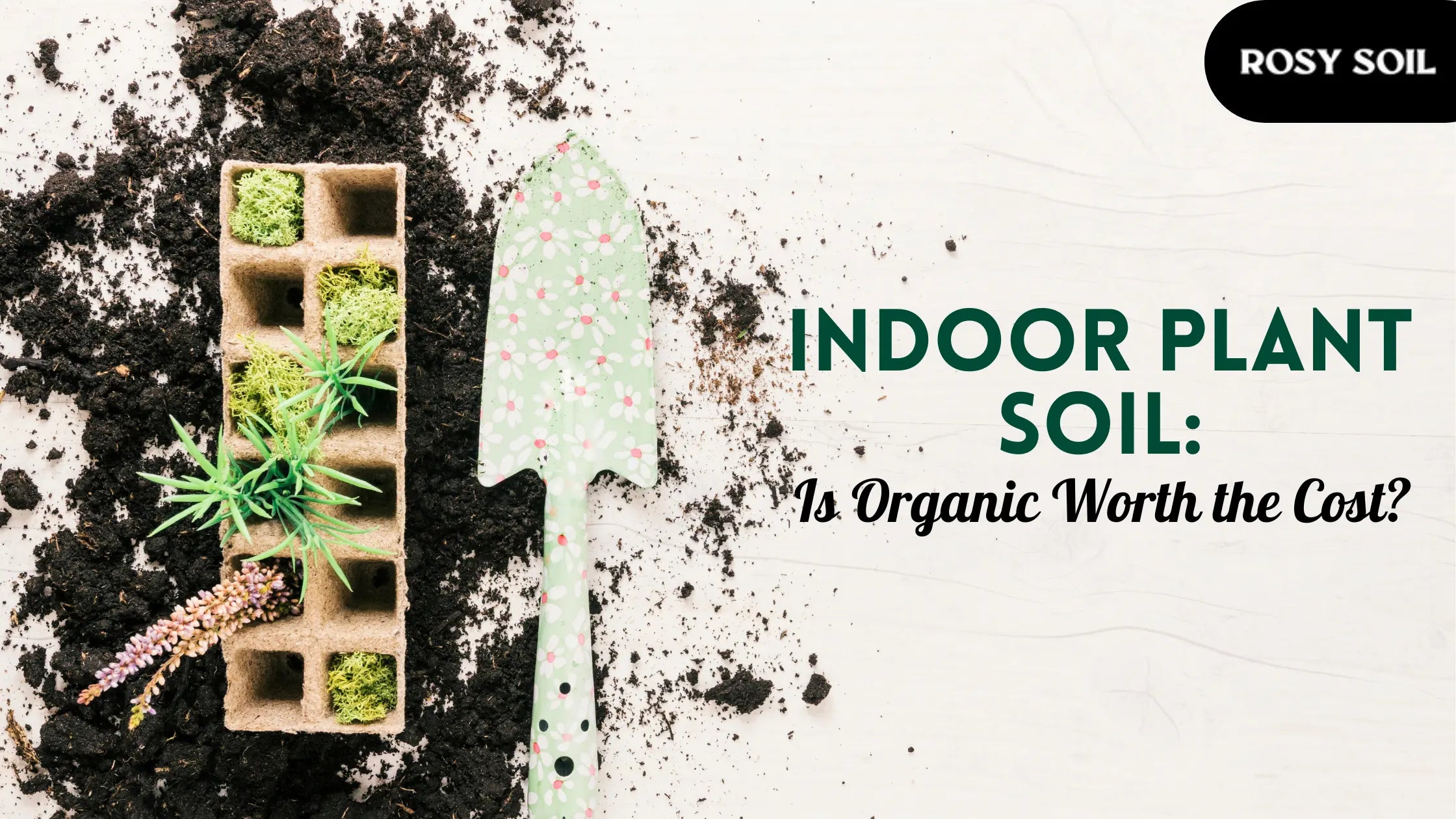 Organic vs. Conventional Indoor Potting Soil: Is It Worth Paying More?