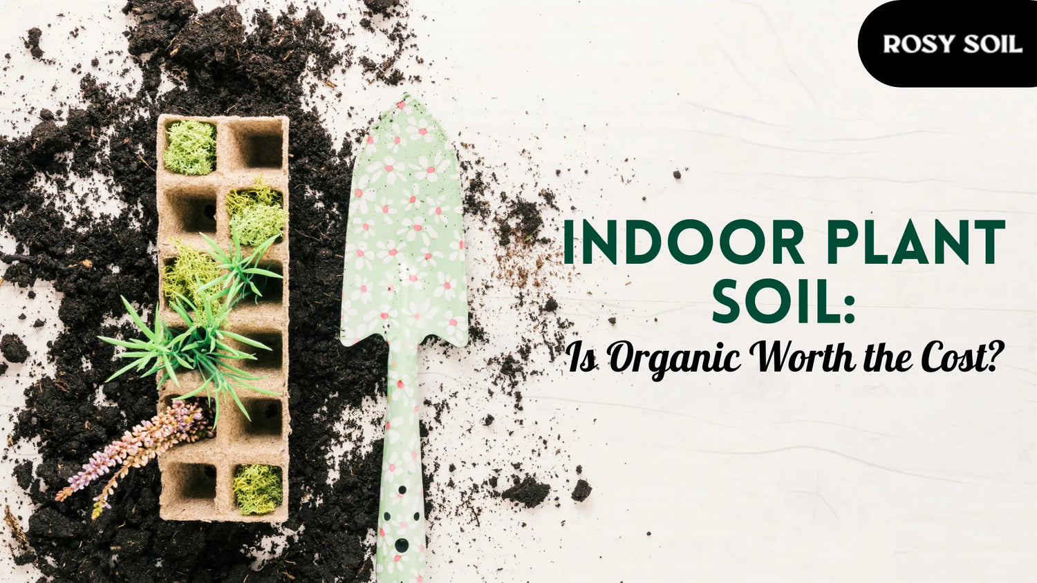 Organic vs. Conventional Indoor Potting Soil: Is It Worth Paying More?