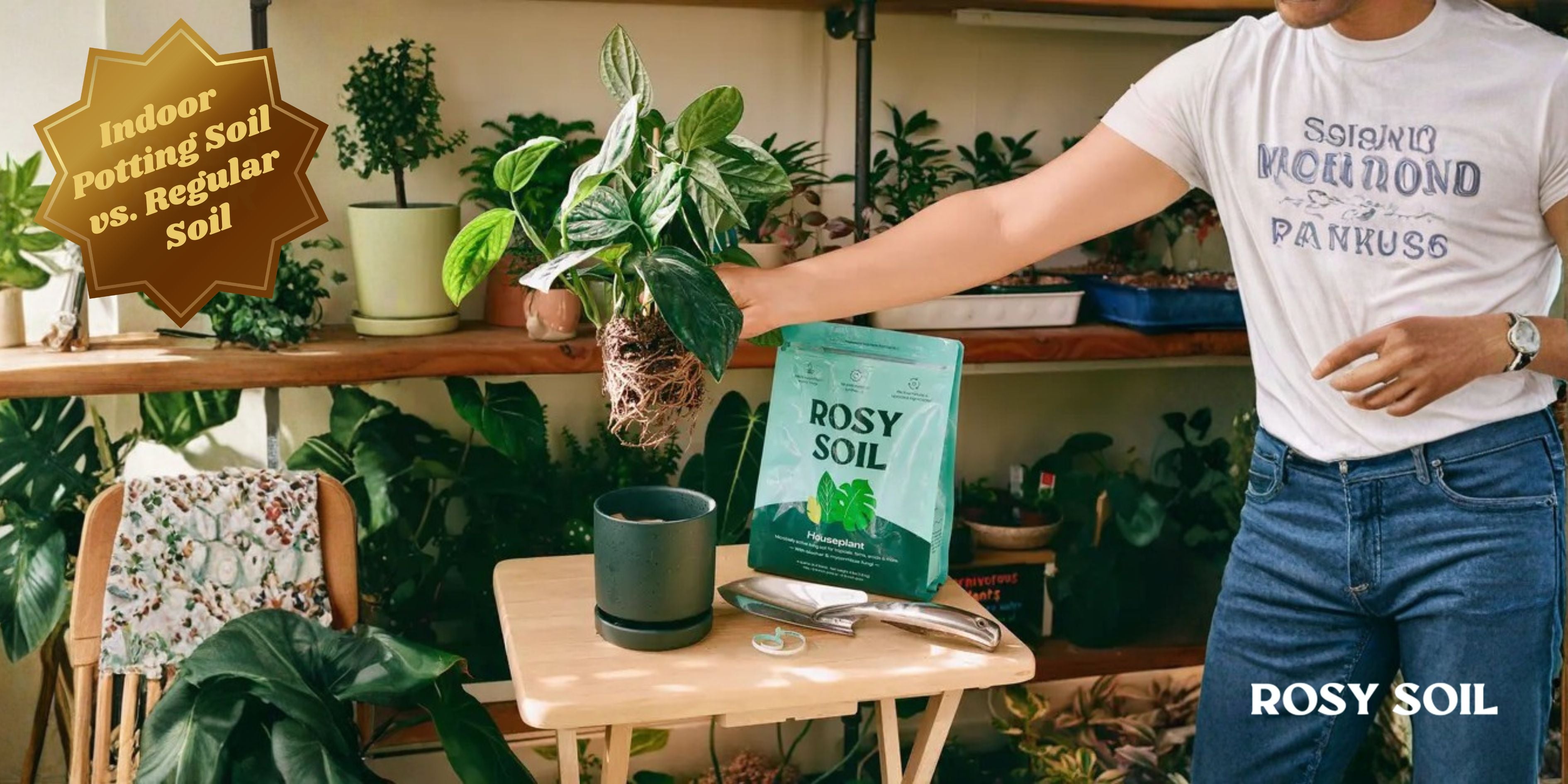 indoor potting soil