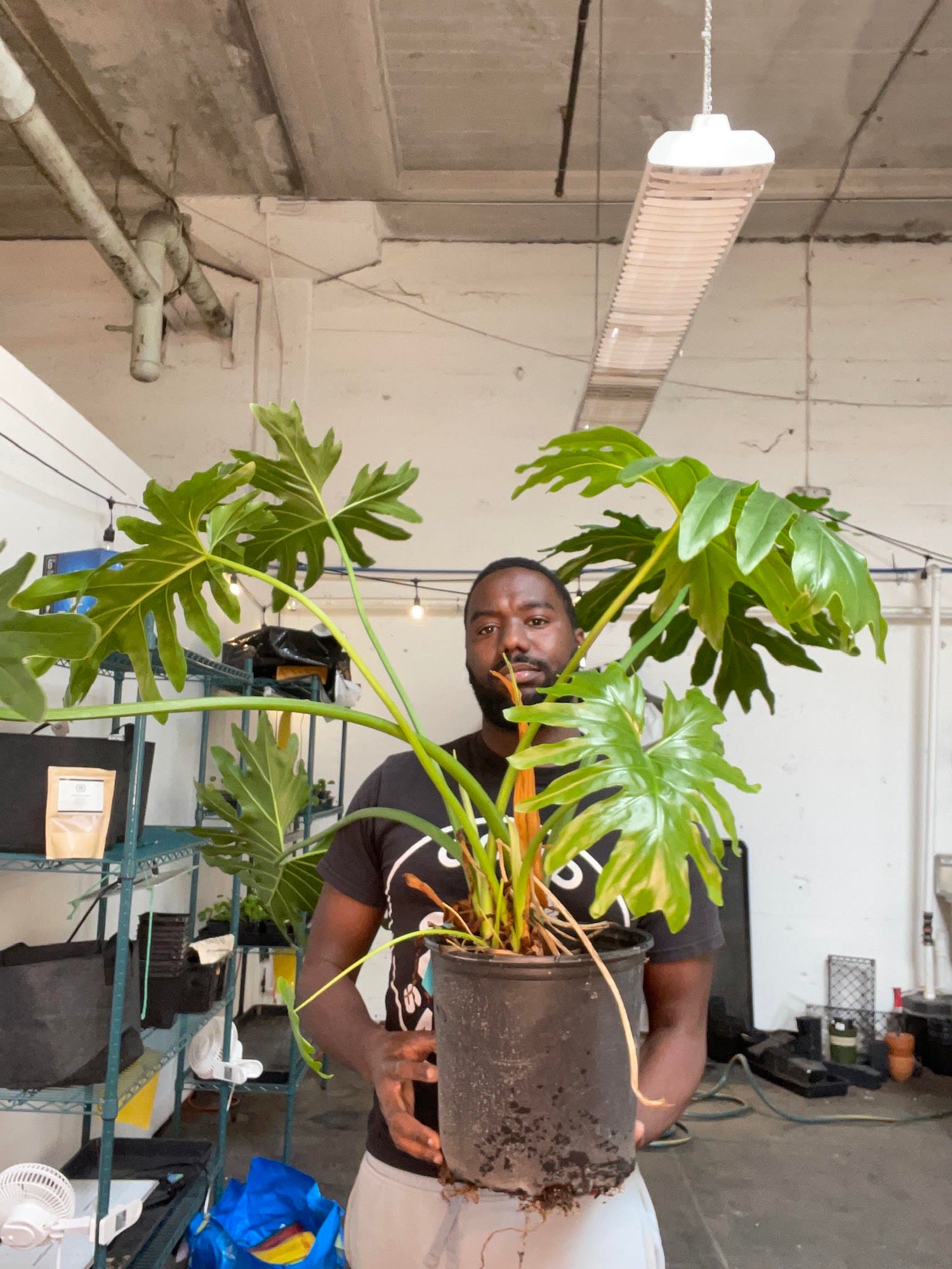 A peek into the research & design behind Rosy Soil