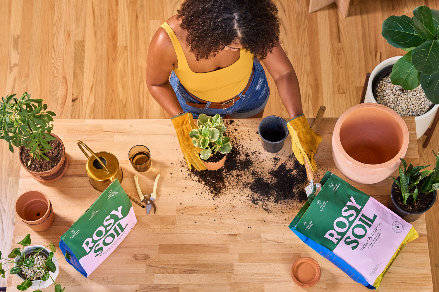 adding-rosy-biochar-soil-plants