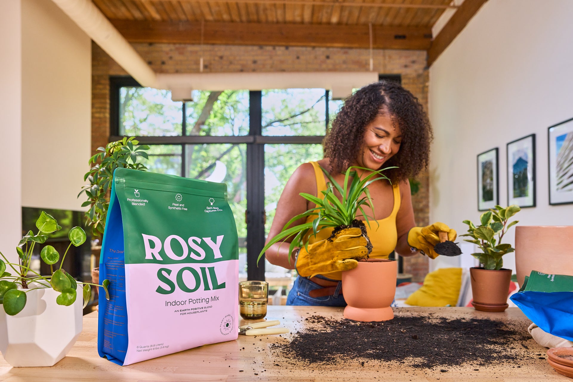 rosy-best-container-gardening-soil
