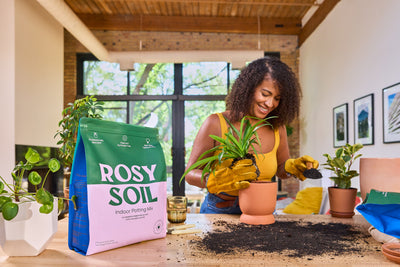 What Is The Best Soil For Container Gardening? (+ 5 Related FAQs)