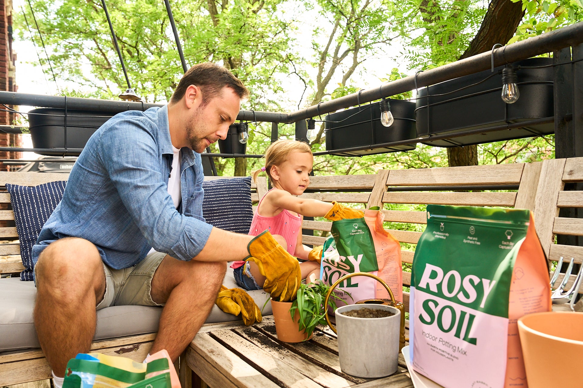 potting-houseplants-with-rosy-soil