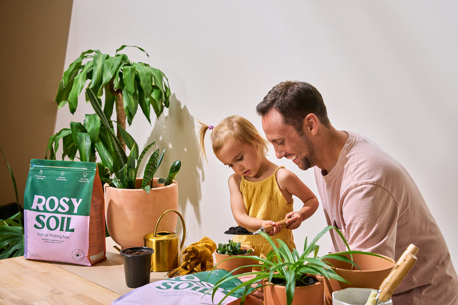 What to Do with Old Potting Soil? (How to Reuse It, FAQs) Rosy Soil