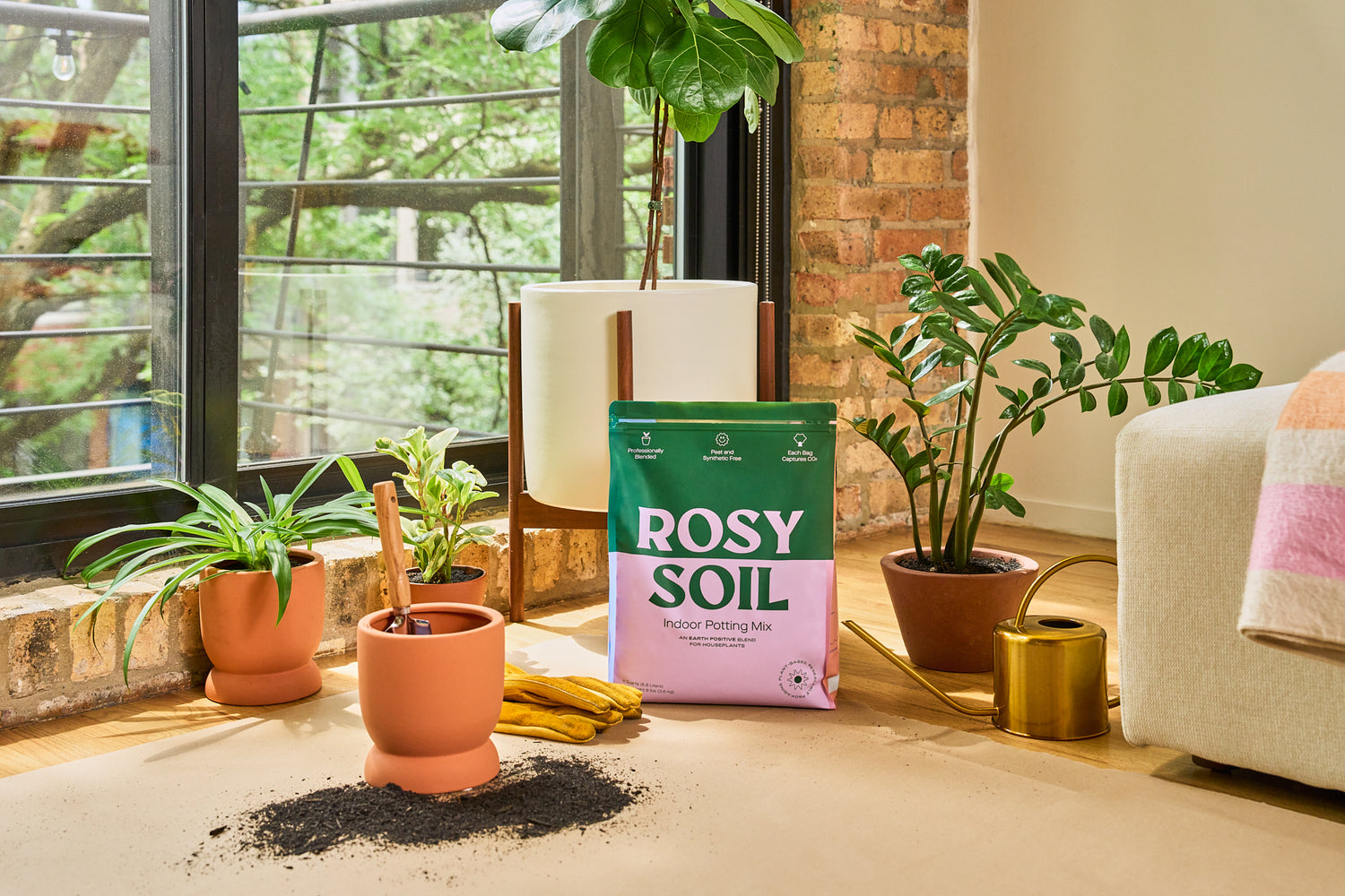 rosy-potting-soil-for-houseplants
