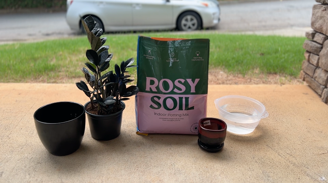 What is Well Draining Potting Soil? (Key Traits, Ingredients) Rosy Soil