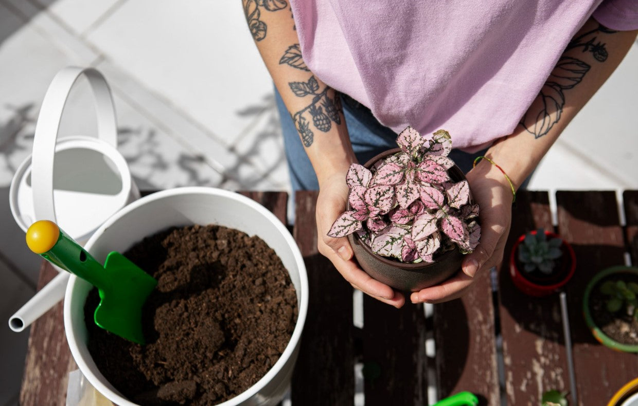 Repotting