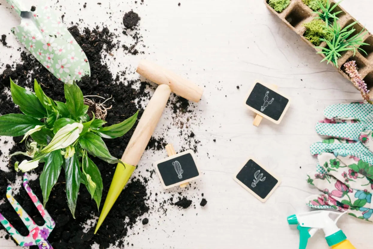 organic potting soil