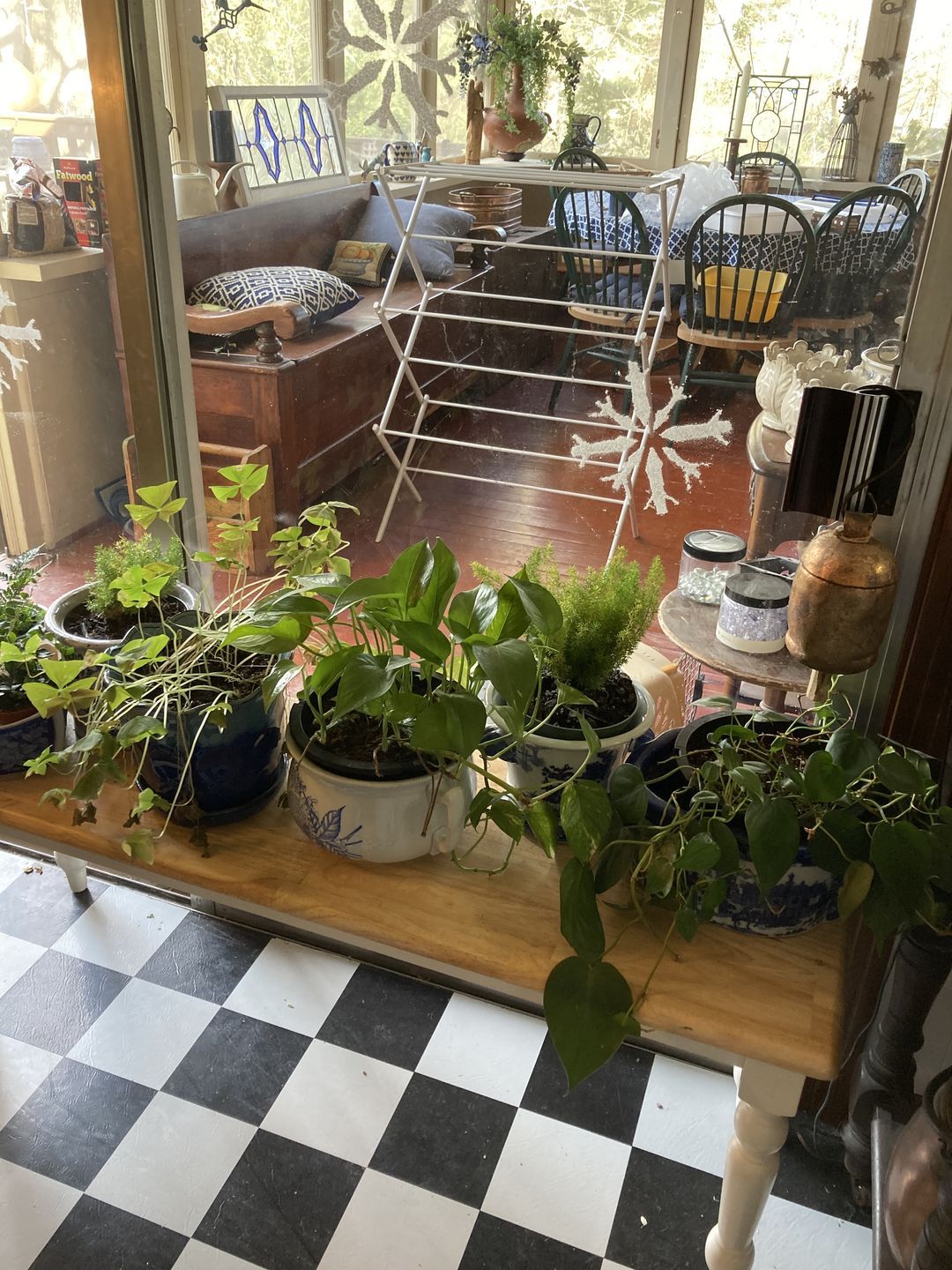 best-soil-for-indoor-plants