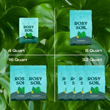 Houseplant Soil