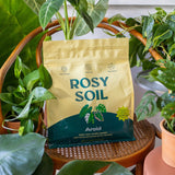 Aroid Soil
