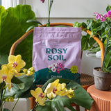 Orchid Mix
