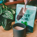 Indoor Potting Mix | 4 Quart