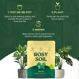 Aroid Soil