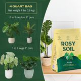 Aroid Soil