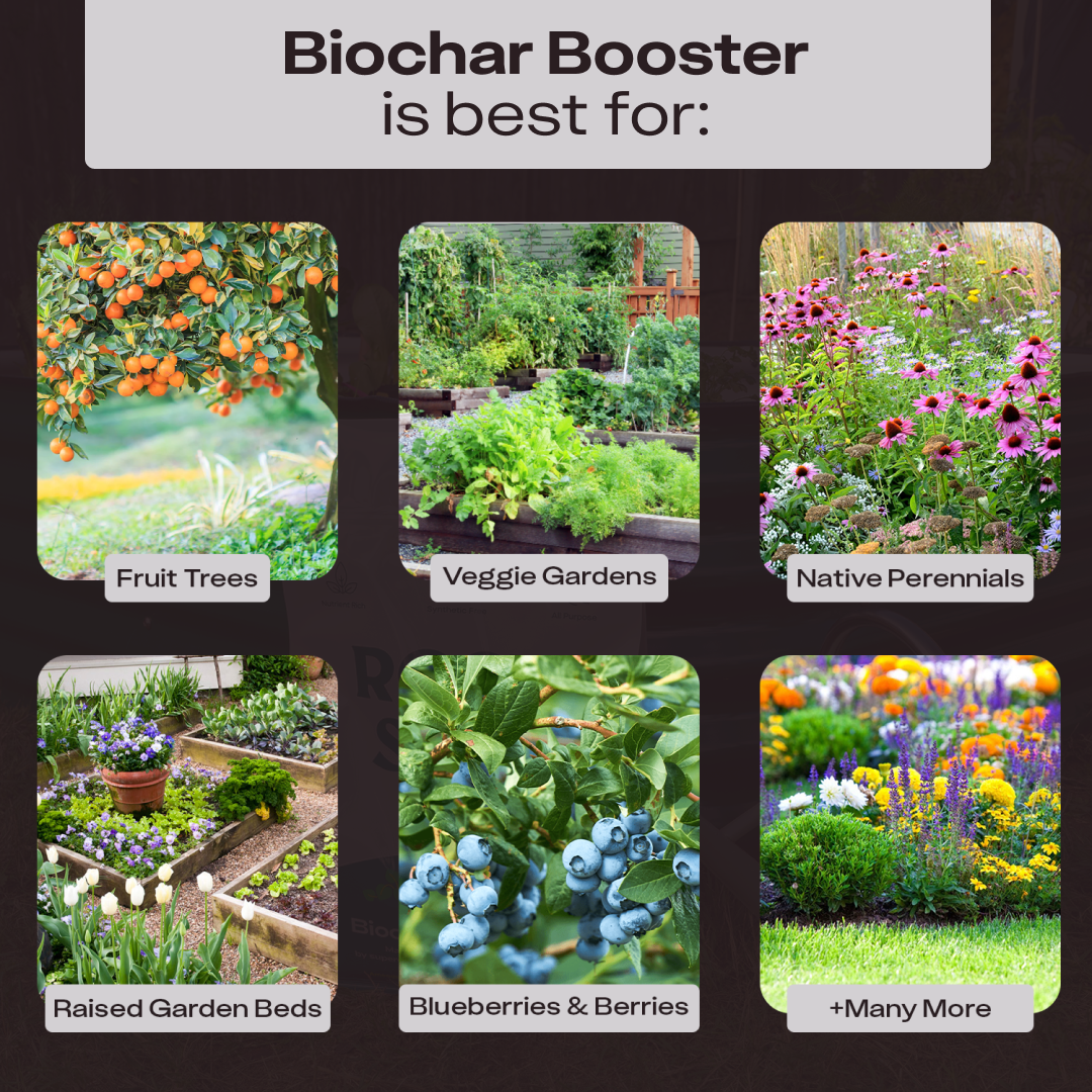 booster cactus fruit Biochar Booster