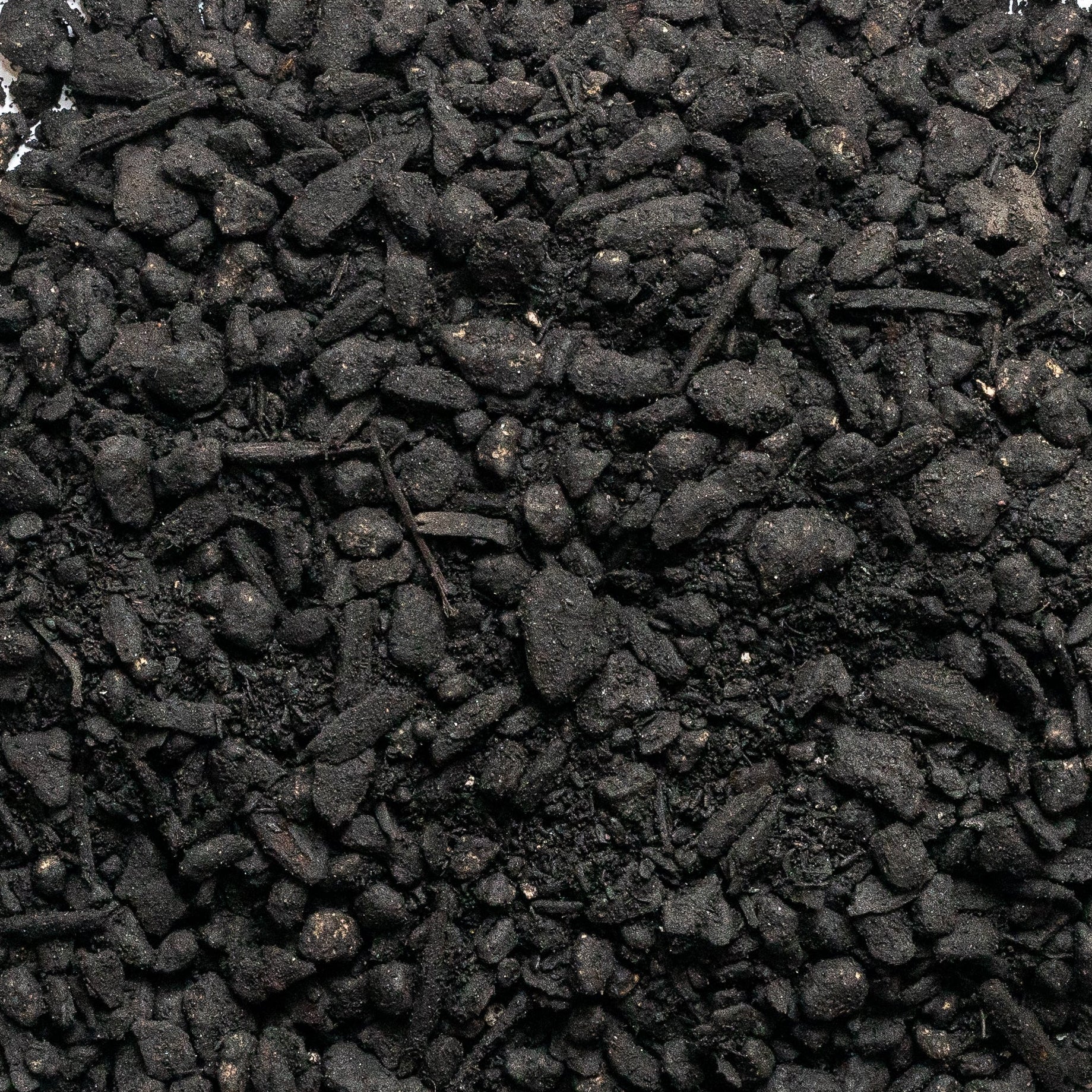 charcoal in cactus soil Cactus & Succulent Soil
