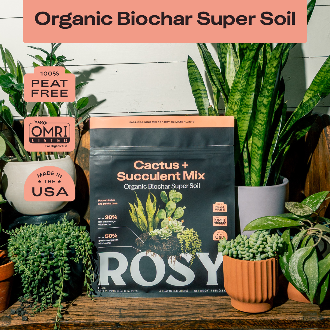 Rosy Soil Cactus & Succulent Soil - Thumbnail 4