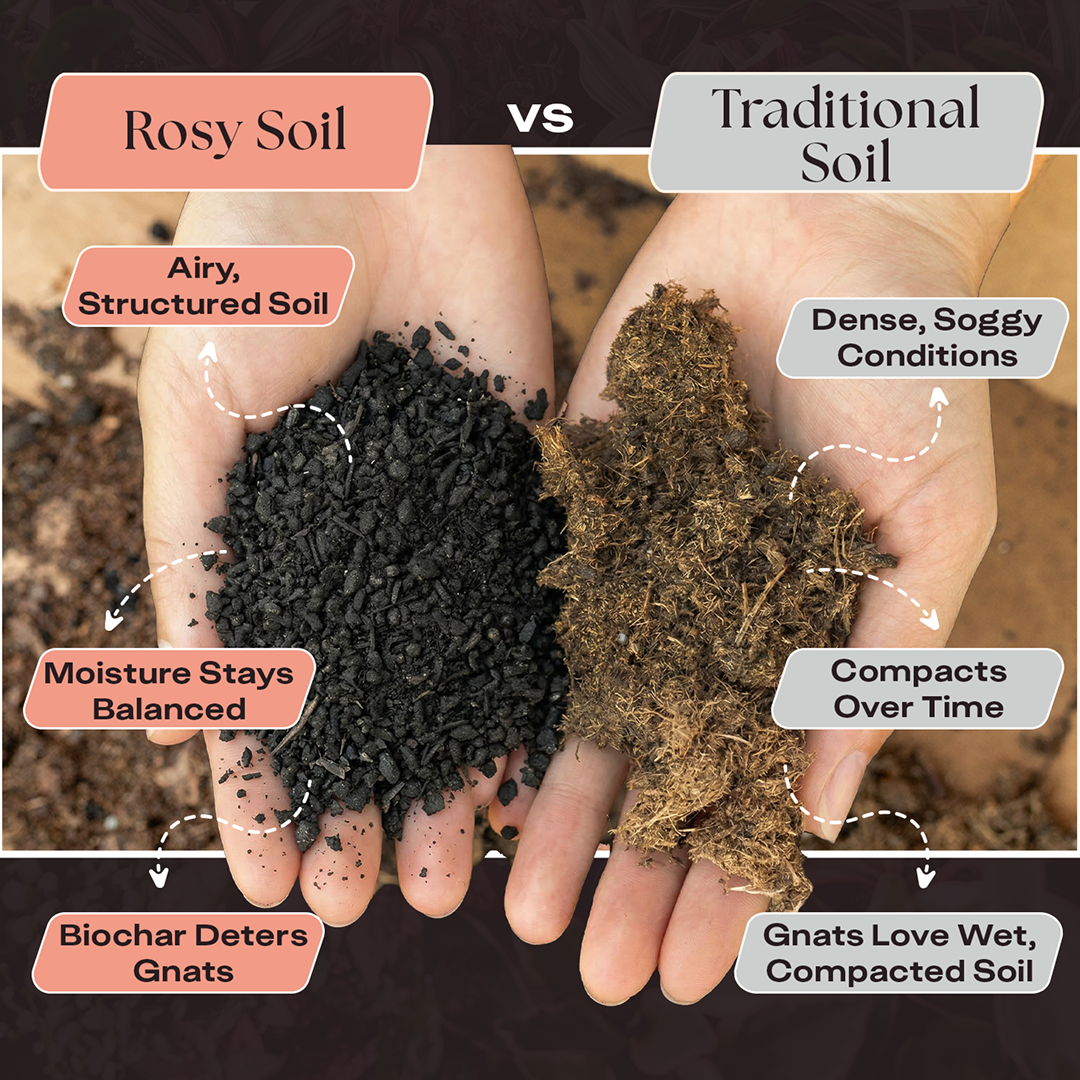 succulent soil ph level Cactus & Succulent Soil