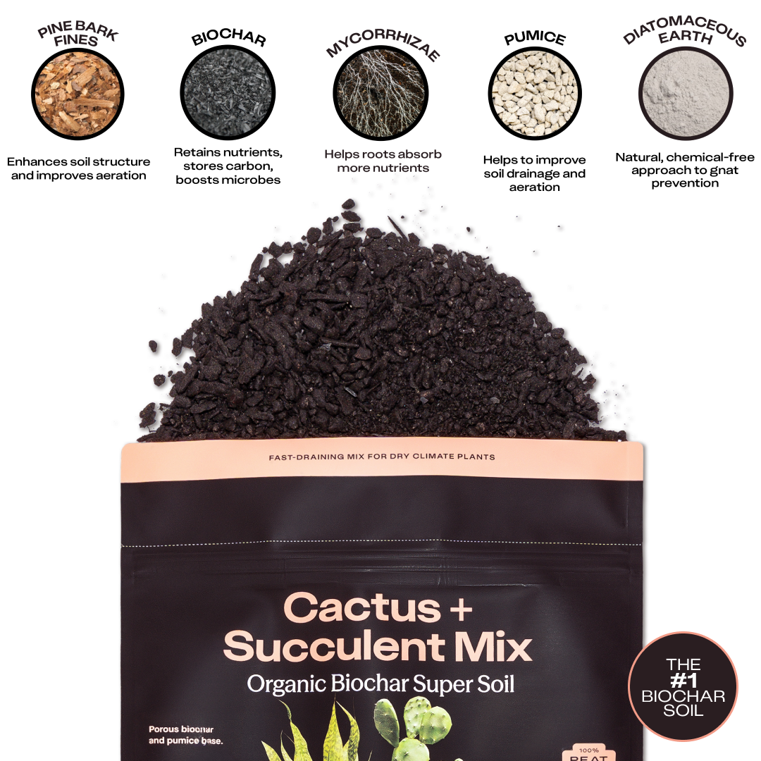 Rosy Soil Cactus & Succulent Soil - Thumbnail 3