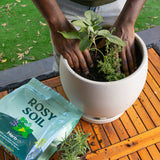 Herb Soil