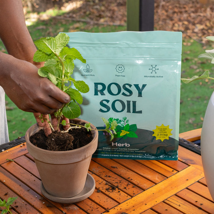 How to Make Biochar (3 DIY Methods + An Easier Alternative) – Rosy Soil